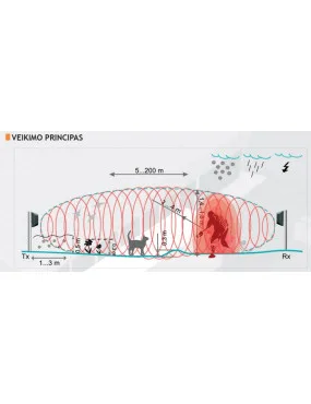 FORTEZA FMC10 (50m)